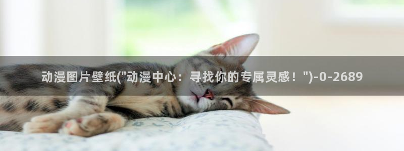 动漫照片:动漫图片壁纸(\